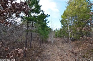 TBD Shiloh Church Rd, Waldron, AR 72958