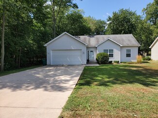 252 N Walker St, Braidwood, IL 60408
