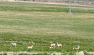 0 Tdb- 20 Acre Parcel Unit 3626182, Montello, NV 89830