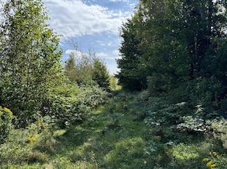 Lot 7-1 Clark Rd, Kenduskeag, ME 04450