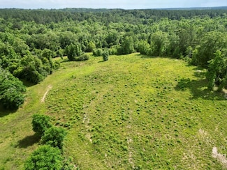 0 County Road 3339, Brundidge, AL 36010