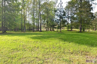 13811&13819 Savannah Dr, Saint Francisville, LA 70775