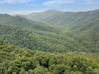1620 N Haven Dr, Black Mountain, NC 28711