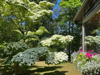 50 Pondview Dr, Oak Bluffs, MA 02568