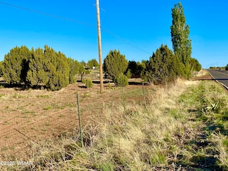 1377 Bourdon Ranch Rd, Show Low, AZ 85901