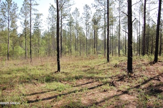 000 Watson Road East Tract 11, Forsyth, GA 31029