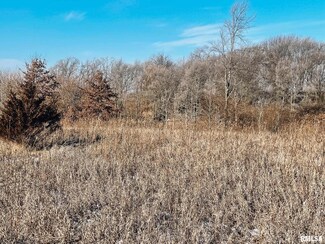 2635 N Knox Rd, Altona, IL 61414