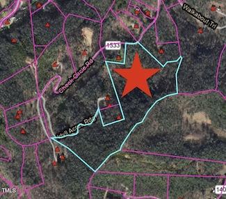 0 Cheek Circle Rd, Barkers Creek, NC 28789