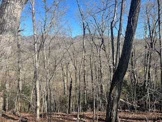 Lot 36 Reserve Rd, Franklin, NC 28734