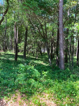 3287 Mooring SE, Bolivia, NC 28422