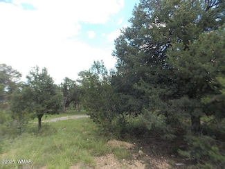 3485 Carefree Rd, Heber, AZ 85928