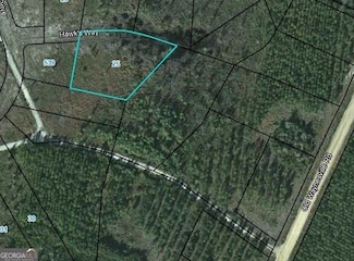 LOT 25 Hawks Way, Waynesville, GA 31566