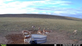 TBD Cr 19, Maybell, CO 81640