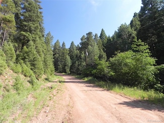 13175 Spruce Creek Cir, Larkspur, CO 80118