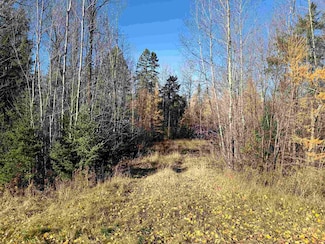 6027 N County Hwy M, Winter, WI 54896