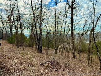 0 Sugar Mountain Cir Unit 2511462, Cookson, OK 74427