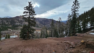 1541 Monte Queen Dr, Lake City, CO 81235