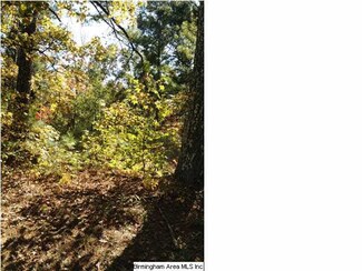 7067 Sellers Rd, Dora, AL 35062