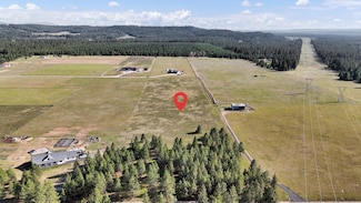 TBD E Owens Rd, Chattaroy, WA 99003