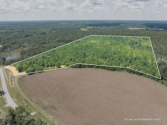 60+/- AC Luther Carter Rd, Petal, MS 39465