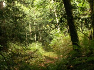 0 Lot A-Breidablik Place NW Unit 841898, Poulsbo, WA 98370