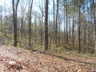 00 Tract II Nebo Rd, Hiram, GA 30141