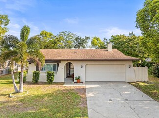 12316 Larkinwood Ln, Hudson, FL 34667