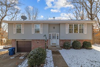 4205 Hickory Ln, House Springs, MO 63051