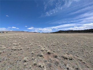 0 Athapascan Rd Unit 1598 REC9505078, Hartsel, CO 80449
