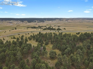 10437 Alamar Way, Black Forest, CO 80908