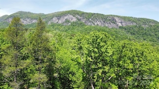 0 Mintwood Ct Unit 12 CAR4176796, Lake Lure, NC 28746