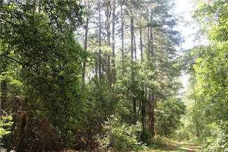 0 Rolling Hills Rd Unit 223387, Navasota, TX 77868