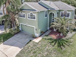 11102 Avery Oaks Dr, Tampa, FL 33625
