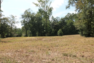 Lots 3-4,18-20 Willow Dr, Jasper, TX 75951
