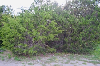407 Thunderhead Dr, Spring Branch, TX 78070