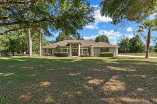33008 Windy Oak St, Sorrento, FL 32776
