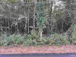 Lot 8 Horace Lunsford Rd, Milton, FL 32570
