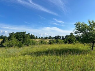 273 273 St, Dassel Township, MN 55325