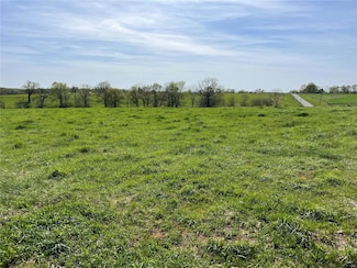 0 Lot 1 Spring Valley Dr Unit MAR24029272, Bowling Green, MO 63334