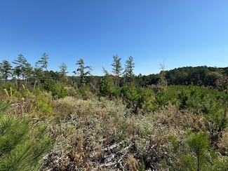 0 County Road 65, Coffeeville, MS 38922