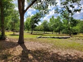 19380 Livingston Ave, Lutz, FL 33559