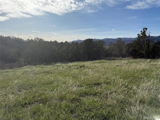 14495 Scott Loop Unit 23, Collbran, CO 81624