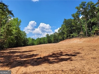 0 Shadow Mountain Ln Unit 10424615, Cleveland, GA 30528