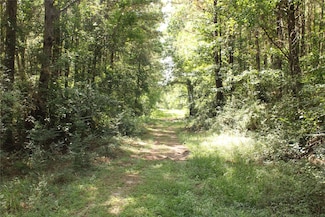 TBD 10th St, Shepherd, TX 77371
