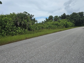 13381 Amaryllis Cir, South Gulf Cove, FL 33981