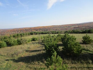 0 Beaver Falls Rd, Reade Township, PA 16639