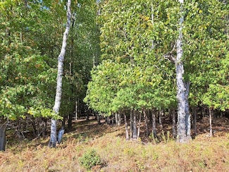 0 Sawyer Dr, Sturgeon Bay, WI 54235