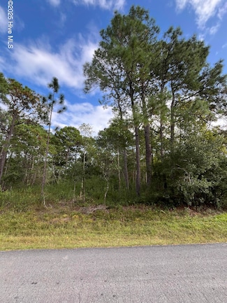 Lot 416 Juniper Rd, Boiling Spring Lakes, NC 28461