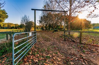 11436 Em En El Grove Rd, Leesburg, FL 34788