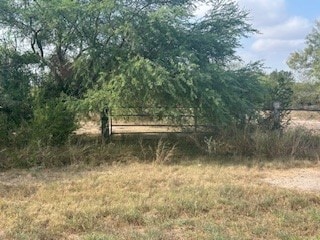 00 S Hwy 181, Skidmore, TX 78389